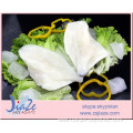 IQF Top Class Frozen John Dory Fillet